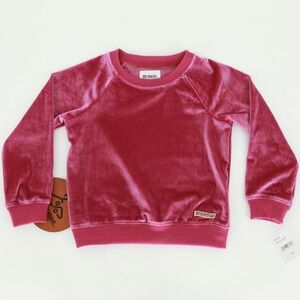 Hudson‎ Kids Velour Sweatshirt Fuchsia Pink Size 24M Long Sleeve Crew Neck NWOT